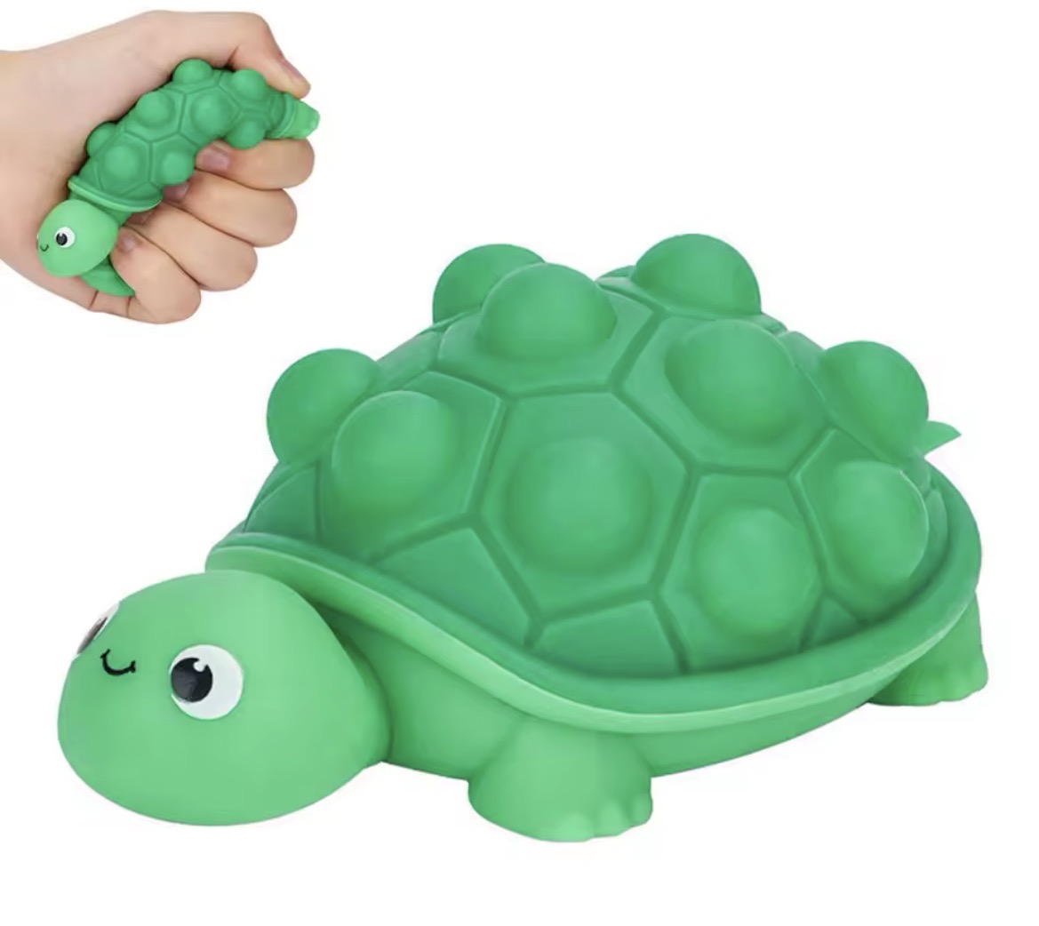 3D Sensory Turtle
