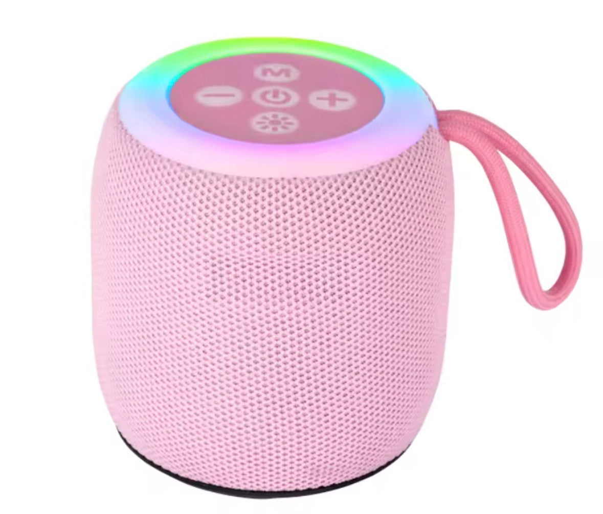 Portable Bluetooth Speaker
