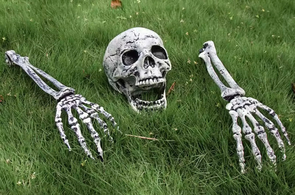Garden Decoration