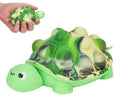 3D Sensory Turtle