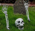 Garden Decoration