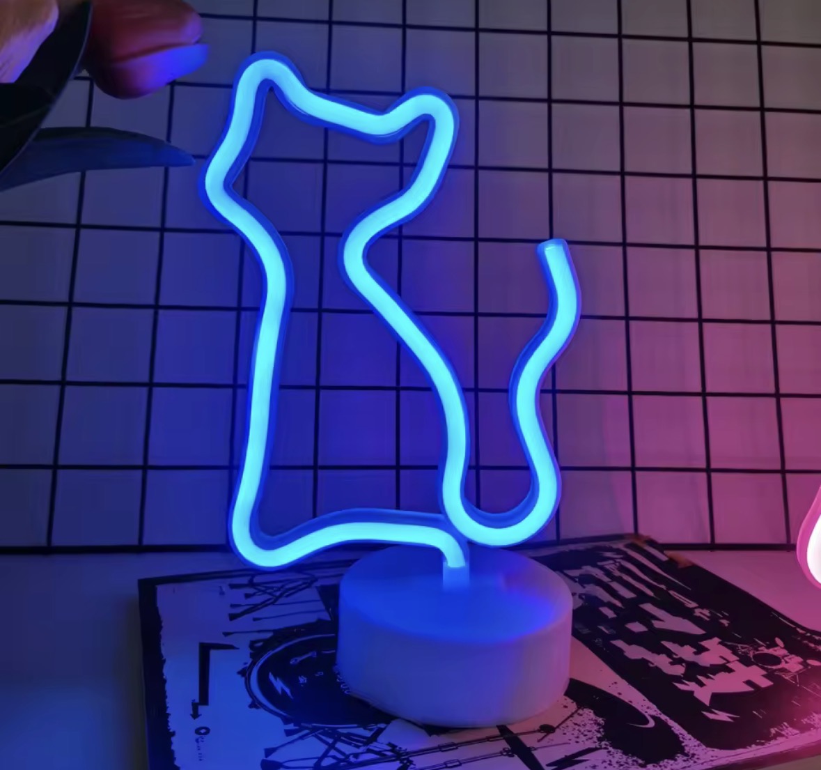 USB/Battery Neon Light