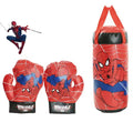 Boxing Bag