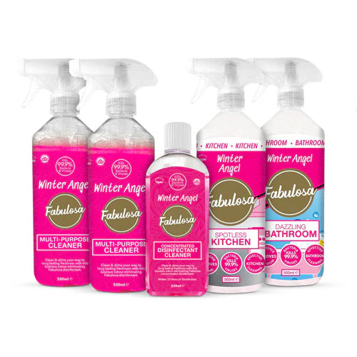 Winter Angel Cleaning Bundle 5 Piece